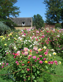 Jardin Fleuriste à Eyrignac
