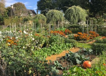 Le jardin potager d'Eyrignac à l'automne